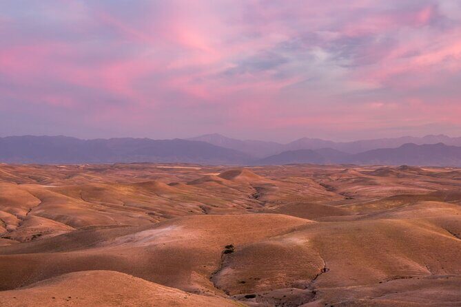 Amazing Dinner in Agafay Desert with Sunset and Berber Camp - Who Will Love This Experience?