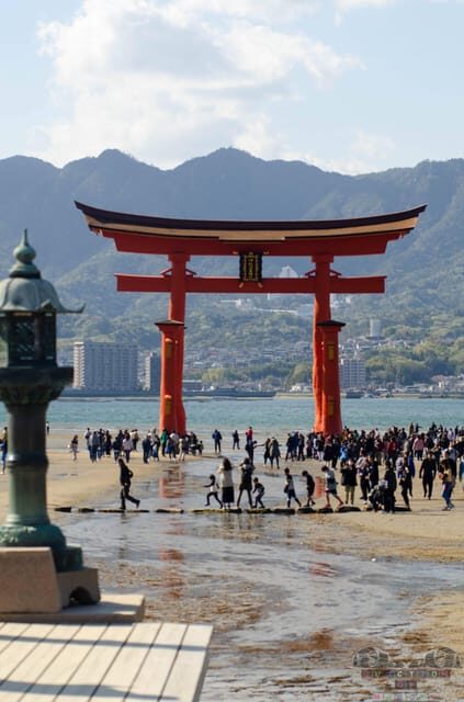 Amazing Hiroshima: Private City Tour with a Local Guide - Who Would Love This Tour?