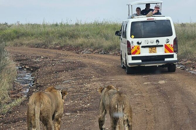 Amboseli Day Trip with Pickup - Arrival at Amboseli: Wildlife and Iconic Views
