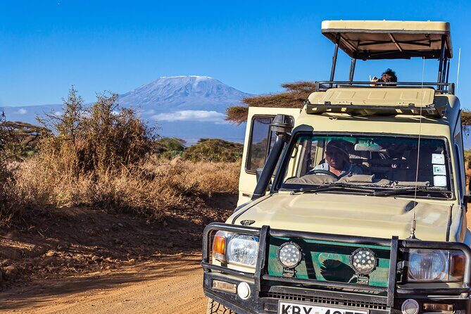 Amboseli National Park Day Trip & Game drive - What Travelers Say: Authentic Perspectives
