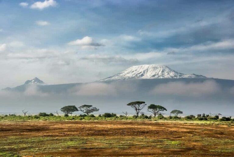 Amboseli National Park: Full Day Tour From Nairobi - What Makes This Tour Stand Out