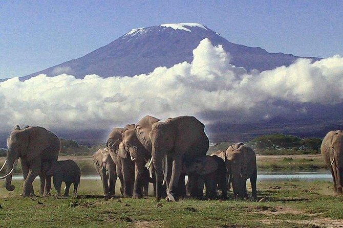 Amboseli National Park Guided Full Day Tour - Exploring Amboseli Ecosystem