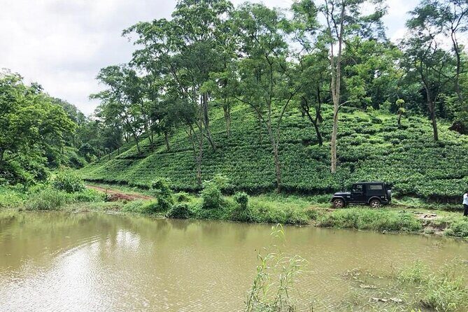 Amchong Tea Estate + Factory Visit (with Hi-tea only) - The Transport and Practicalities