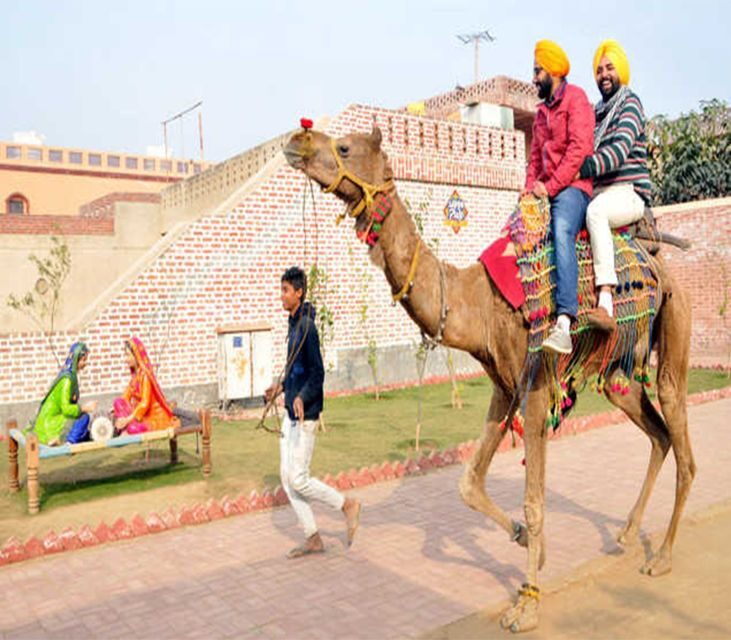 Amritsar: Evening Tour to Sadda Pind with Dinner - The Value of the Experience