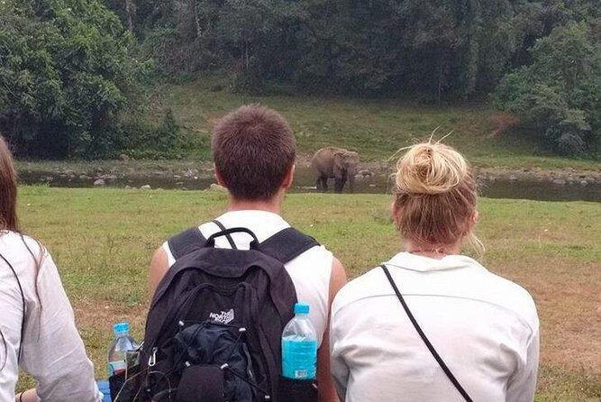 Anakulam Wild Elephant Village life tour ( By Munnar Info) - Why This Tour Offers Great Value