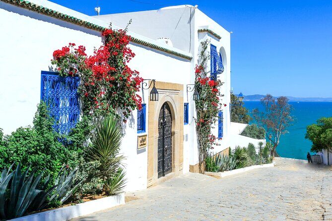 Ancient Carthage and Sidi Bou Said Half Day Tour with Lunch - What You’ll See and Do: A Detailed Breakdown
