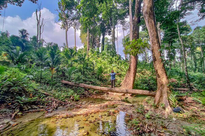Ancient Lava Stream Trek through dense Tropical forest. - FAQs