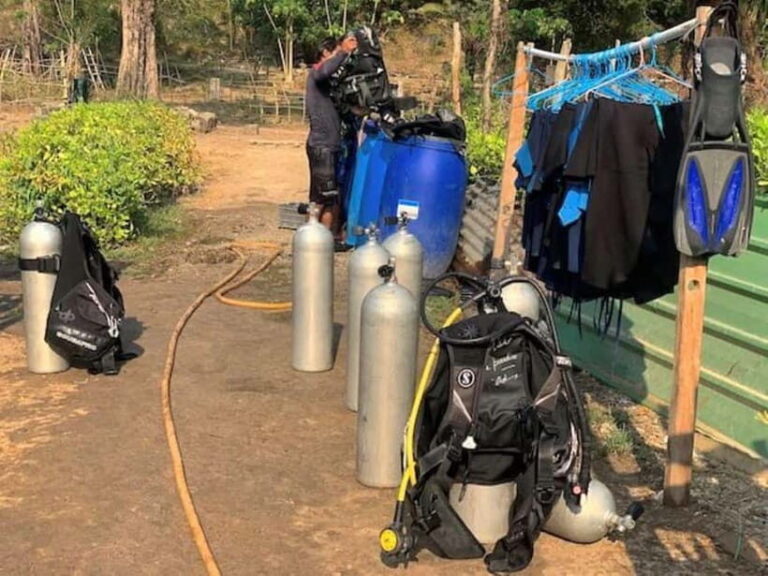 Andaman Islands: Scuba Diving Tour - The Top Dive Spots: Havelock & Neil Islands