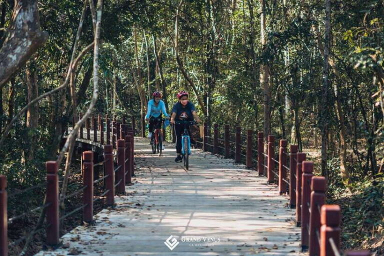Angkor Bike tour & Gondola Sunset Boat - Final Thoughts: Is This Tour Right for You?