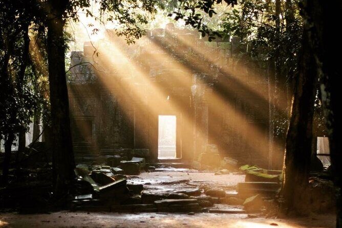 Angkor Sunrise Half-Day Tour with Private Vehicles & Tour Guide - How the Experience Feels