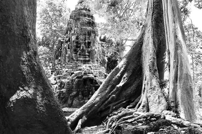 Angkor Wat & Banteay Srei 1-Day Tour - Authentic Experiences and Insider Tips
