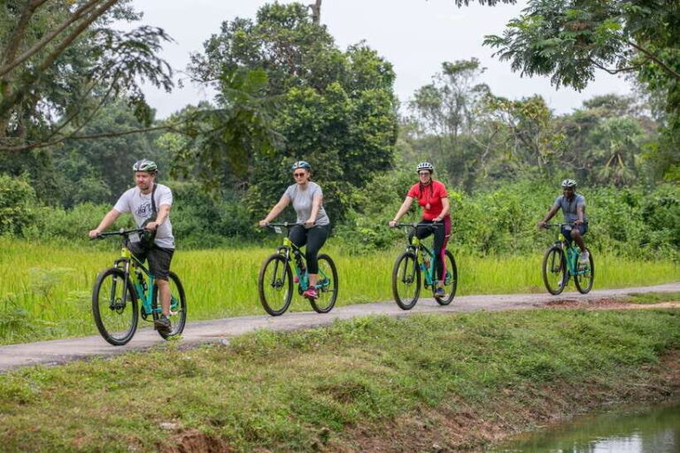 Angkor Wat: Guided Sunrise Bike Tour w/ Breakfast and Lunch - What Makes This Tour Stand Out?