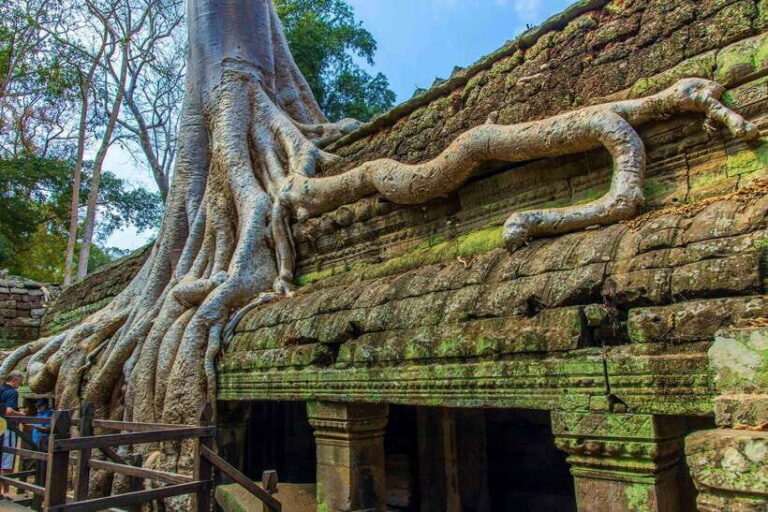 Angkor Wat one Day Private Tour for All Highlight Temples - The Itinerary Breakdown