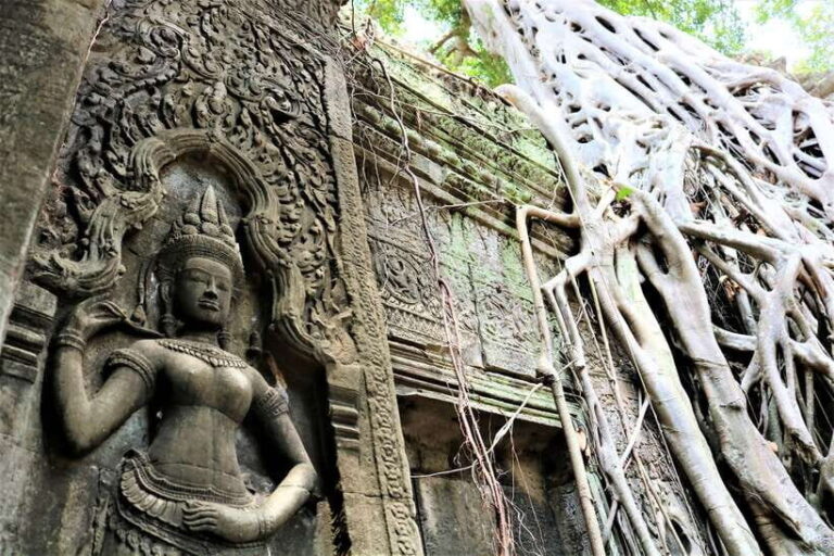 Angkor Wat Sunrise Tour with Tonle Sap - Half-Day on Tonle Sap: Cambodia’s Living Waterway