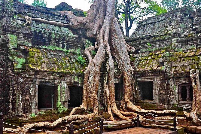 Angkor Wat Sunrise With Tours Experience Driver - The Practicalities: What’s Included and What’s Not