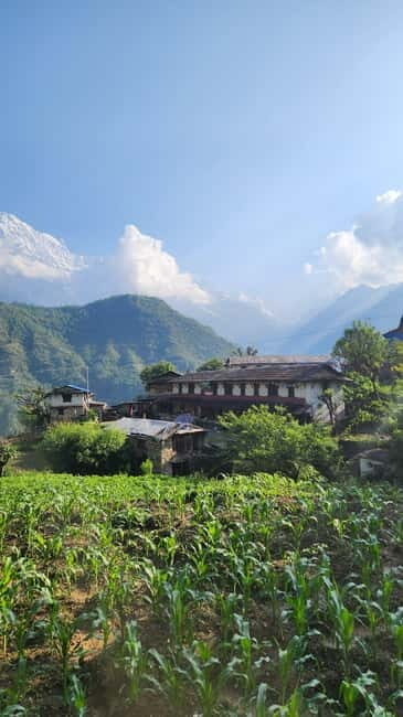 Annapurna Base Camp Trek: 12-Day Guided Tour - What the Tour Includes and What It Costs