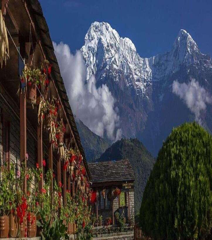 Annapurna I Expedition 2025/2026 - Is This Tour Right for You?