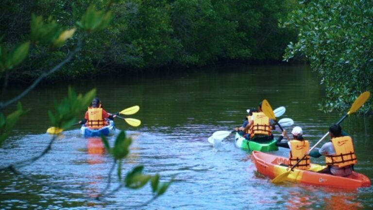 Ao Nang: Kayak Tour in Krabi Mangrove Forest with Lunch - What to Expect on the Kayak Tour