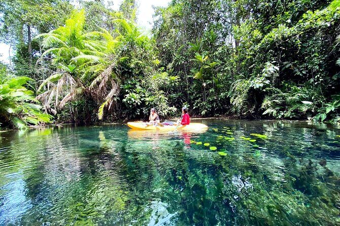 Ao Nang Kayaking at Klong Rud with Hotel Transfer - The Review: Balancing the Positives and Drawbacks