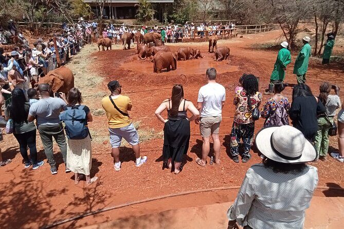 Aoukings Airports Pickups and Tours - The Value of a Professional, Local Touch
