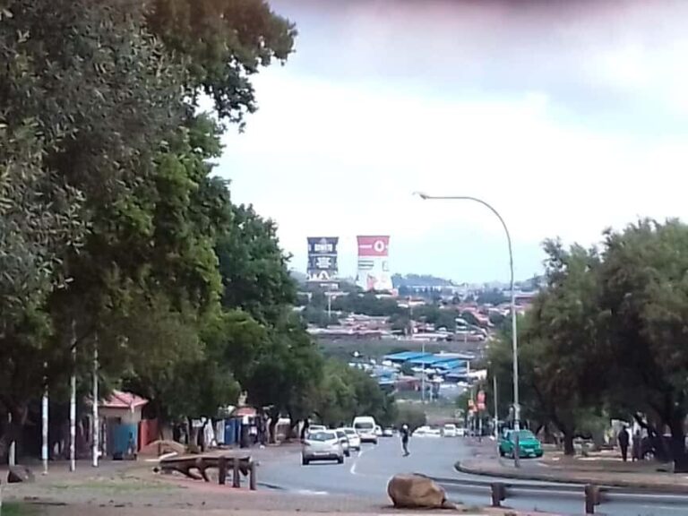 Apartheid museum and Soweto. 5 hours Private tour. - Who Will Love This Tour?