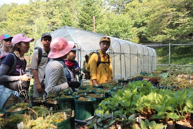 Apoi-dake Private Hiking with Guided Commentary - Who Should Consider This Tour?