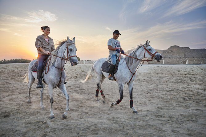 Arabian Sunset Horse Riding & Stable Tour - Value and Practical Considerations