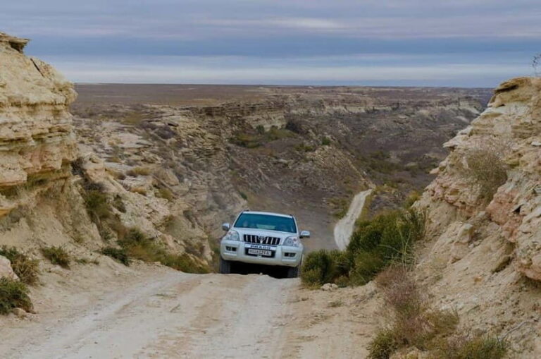 Aral Sea Tour from Nukus 1 night / 2 days - What Travelers Say