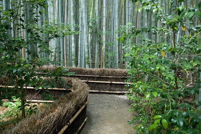 Arashiyama Bamboo Forest E-Biking Tour - Meeting Points and Logistics