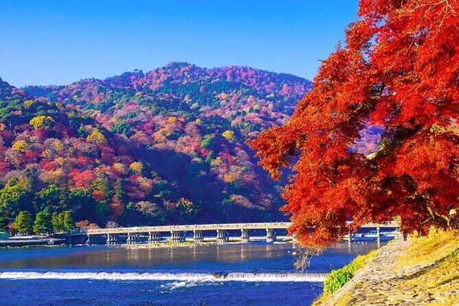 Arashiyama Bamboo & "Must See" Gardens with an Amazing Guide - The Sum Up