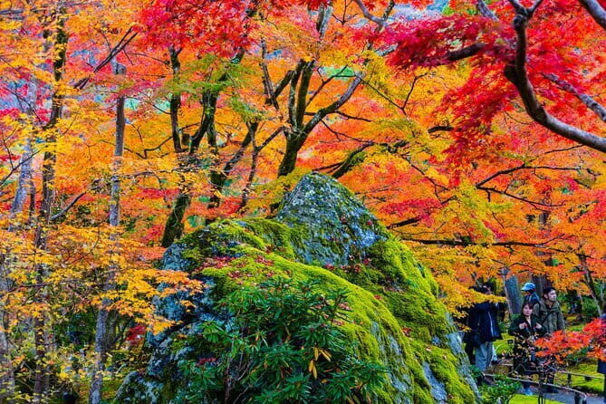 Arashiyama Walking Tour with Optional Sagano Romantic Train Ride - What Past Travelers Say