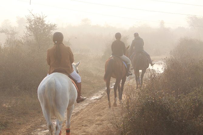 Aravali Trail Experience( Jungle Safari Forest area)- Horseback Riding - Authenticity and Value