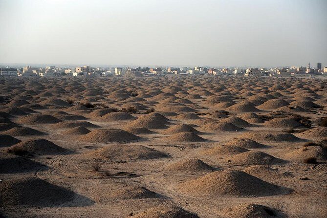 Archaeological Tour Bahrain - What Travelers Say