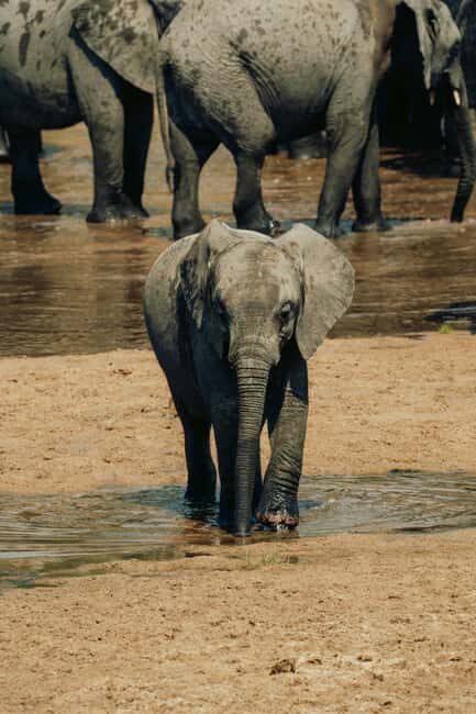 Arusha: 2-Day Safari to Tarangire National Park with Meals - Practical Details That Matter