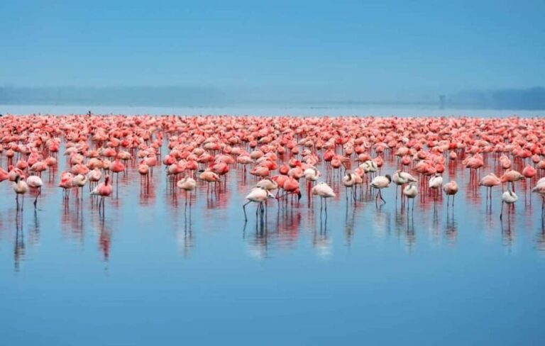 Arusha: 3-Day Lake Eyasi Trip and Safari - What’s Included and What’s Not