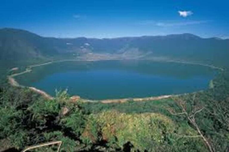 Arusha: 3-Day Safari to Arusha National Park and Ngorongoro - Who This Tour Is Best For