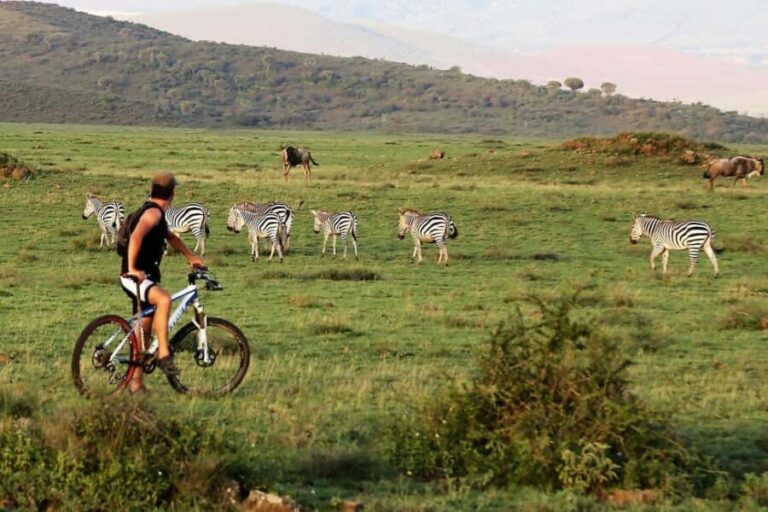 Arusha: 3-Day Safari to Tarangire, Ngorongoro & Lake Manyara - What Makes This Safari Stand Out?