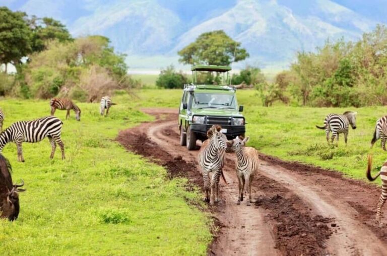 Arusha: 3-Day Serengeti and Ngorongoro Crater Safari - Transportation and Group Size