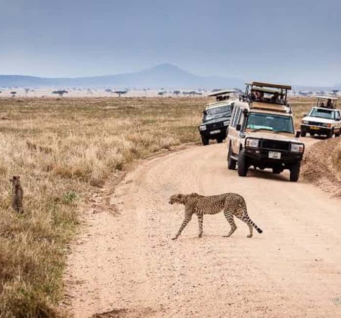 Arusha: 3-Day Serengeti & Ngorongoro Crater Big Five Safari - Transportation and Comfort