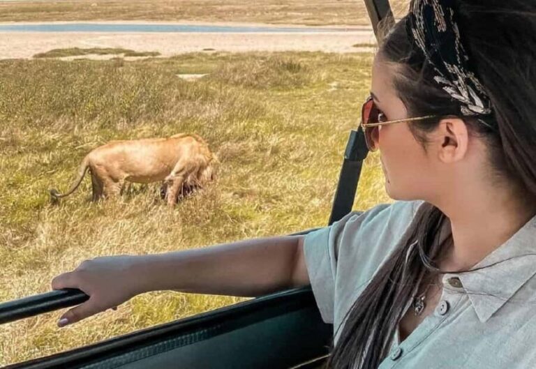 Arusha: 4-Day Ndutu Migration Safari and Ngorongoro Crater - Who This Tour Suits Best
