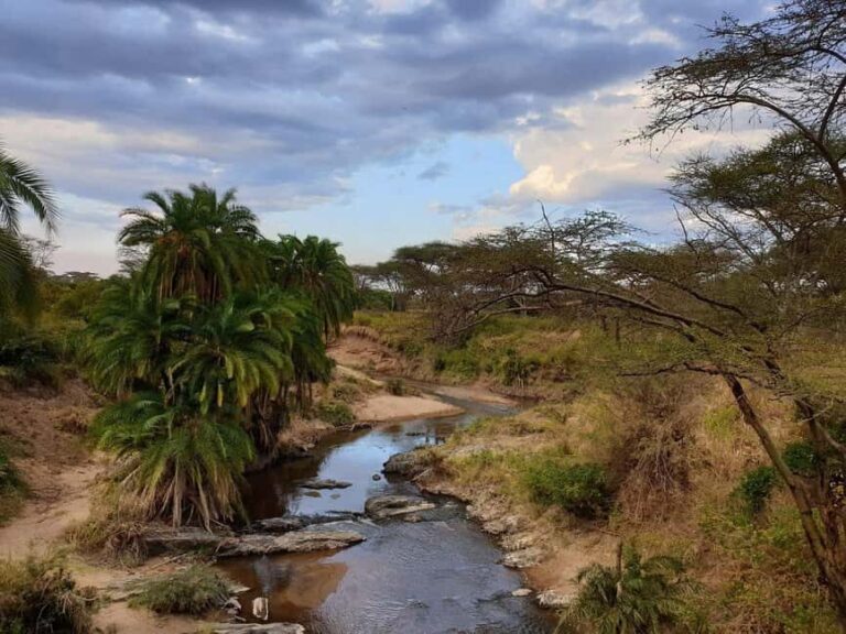 Arusha: 4-Day Safari northern parks - Who Will Love This Tour?