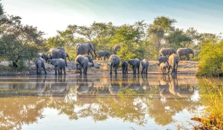 Arusha: 4-Day Safari to Serengeti and Ngorongoro Crater - Overall Impressions and Practical Insights