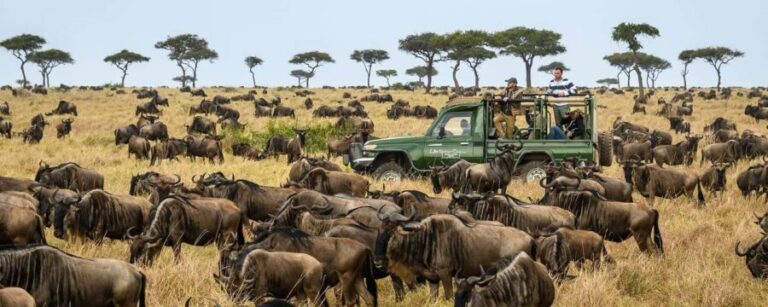 Arusha: 4-Day Serengeti and Ngorongoro Crater Safari - Detailed Breakdown of the Itinerary