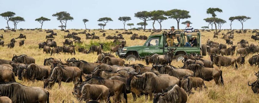 Arusha: 4-Day Serengeti and Ngorongoro Crater Safari - Detailed Breakdown of the Itinerary