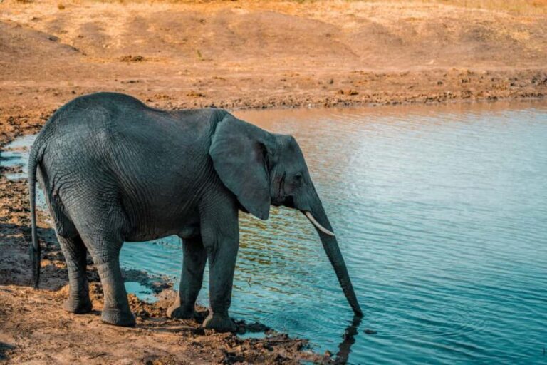 Arusha: 4 Days safari to Tarangire, Serengeti & Ngorongoro - Day-by-day breakdown
