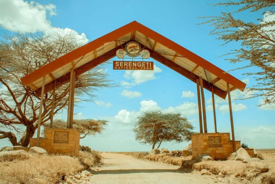 Arusha: 5-Day Ndutu Calving Season Serengeti Safari - What Sets This Tour Apart: Highlights and Practicalities