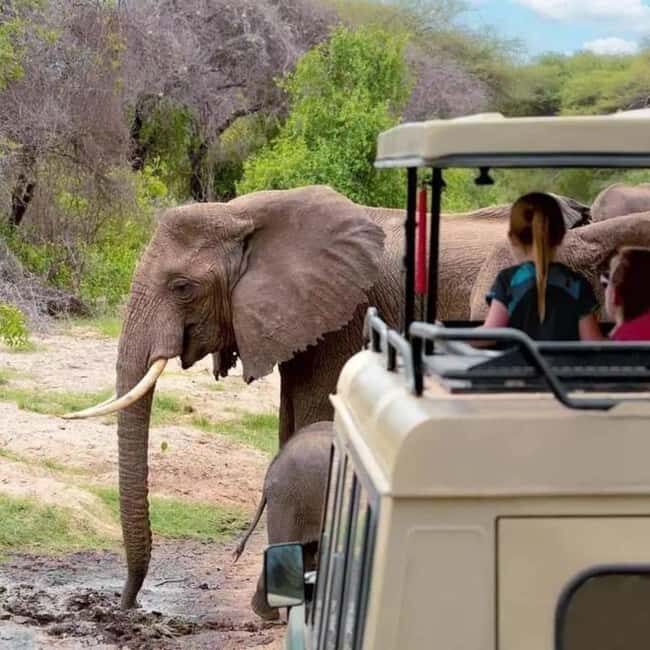 Arusha: 5-Day Safari to Tarangire, Serengeti, and Ngorongoro - Exploring the Itinerary in Detail