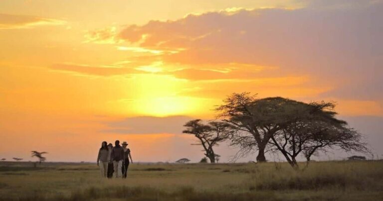 Arusha: 5-Day Serengeti National Park Tent Safari - An In-Depth Look at the 5-Day Tanzanian Safari