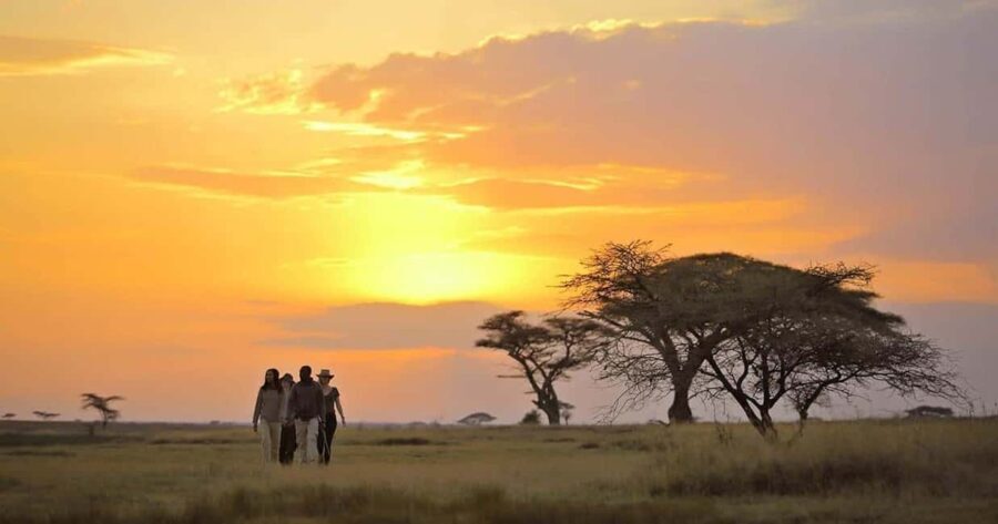 Arusha: 14 Days Safari Northern Circuit Roundtrip Complete