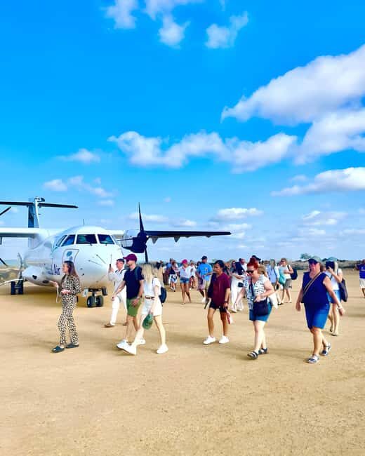 Arusha: 6-Day Safari to Tarangire, Serengeti, & Ngorongoro - The Serengeti: The Heart of the Maasai Mara